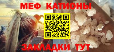 стаф Шелехов