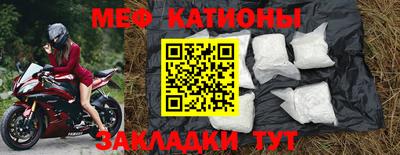 стаф Шелехов