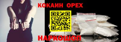 стаф Шелехов
