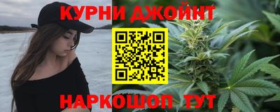 стаф Шелехов