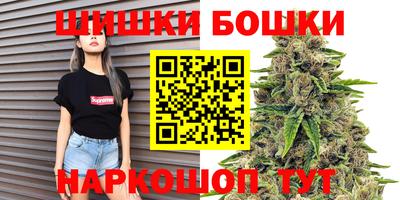 стаф Шелехов