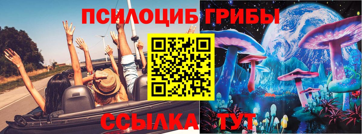 Боровичи  Галлюциногенные грибы Psilocybine cubensis  Псилоцибиновые грибы ЛСД  Вход с VPN 