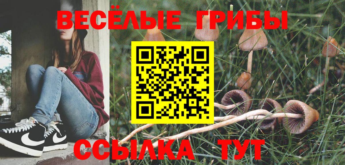 Галлюциногенные грибы Psilocybine cubensis Боровичи